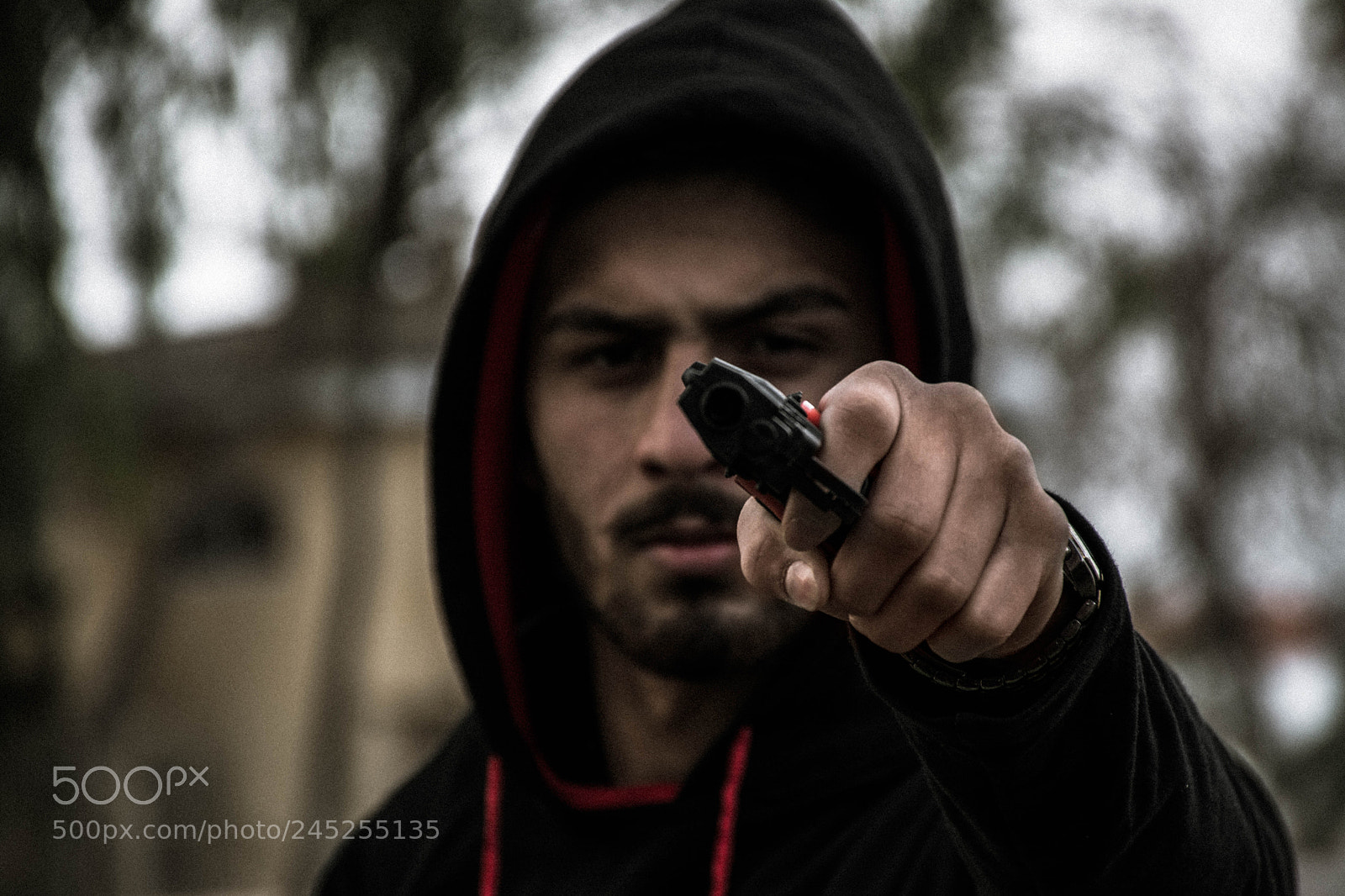 Nikon D7100 sample photo. Untitled photography
