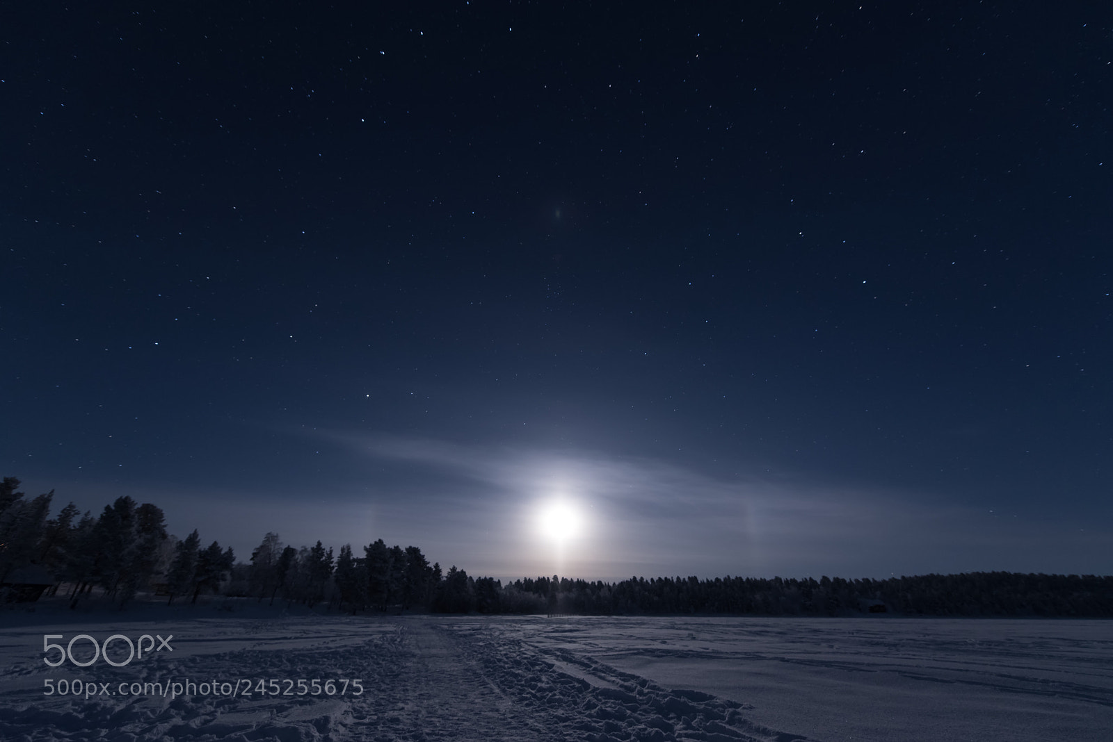 Nikon D750 sample photo. Lapland night photography