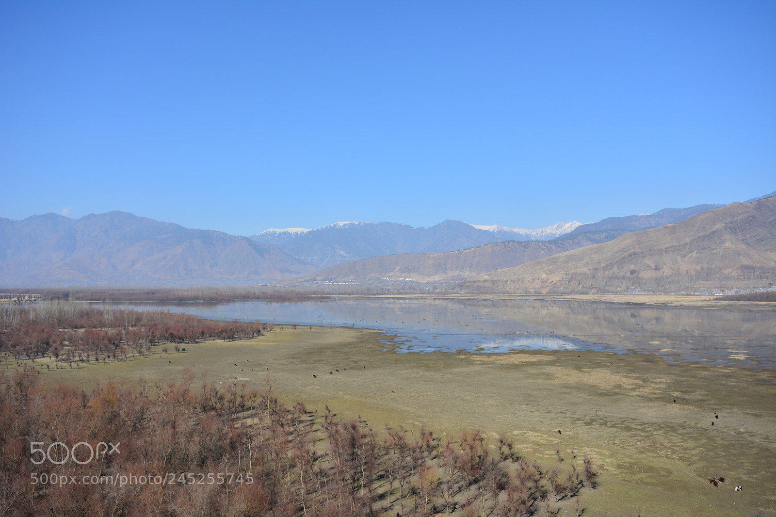 Nikon D5200 sample photo. Wular lake photography