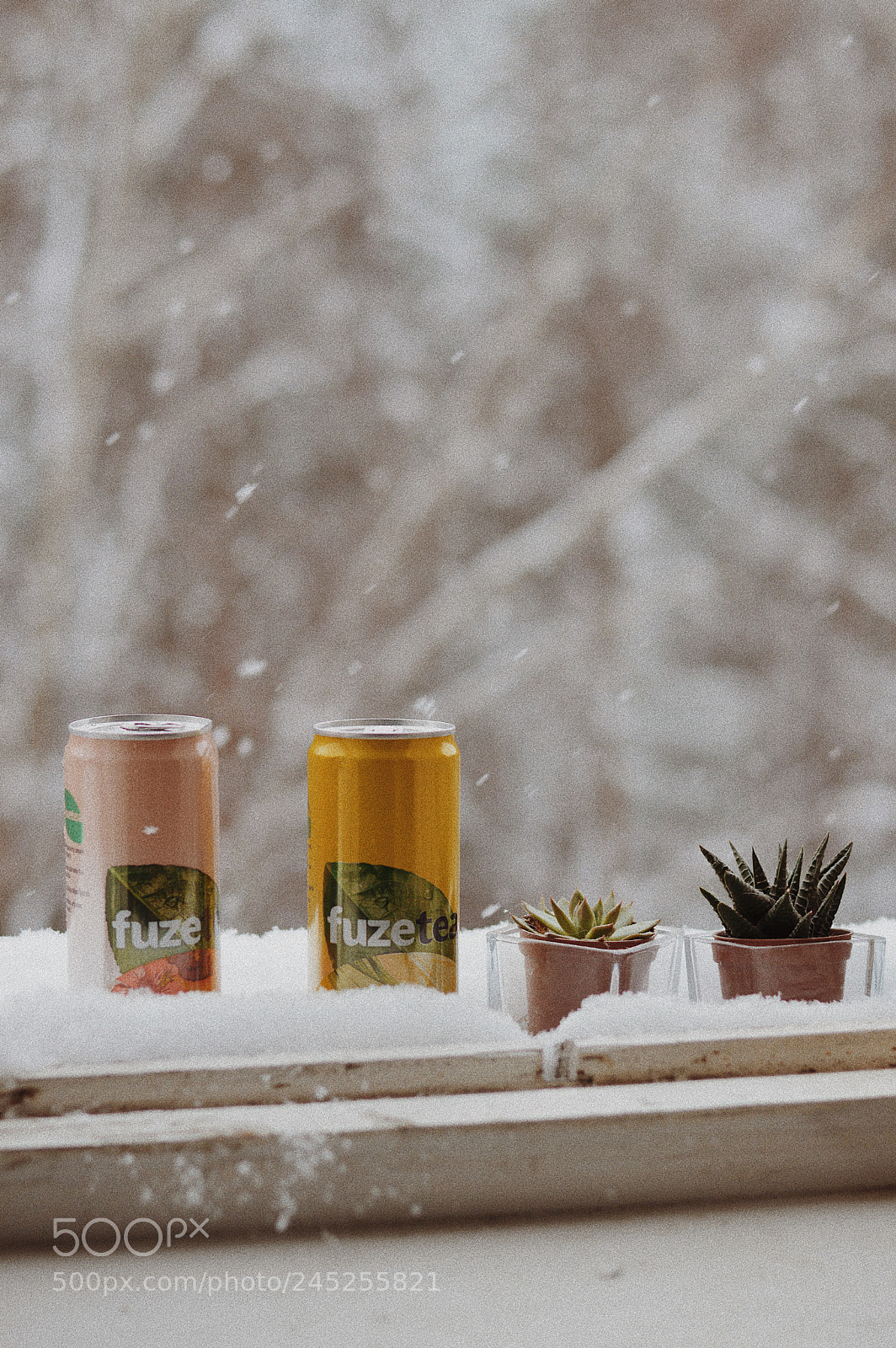 Nikon D3200 sample photo. Untitled photography