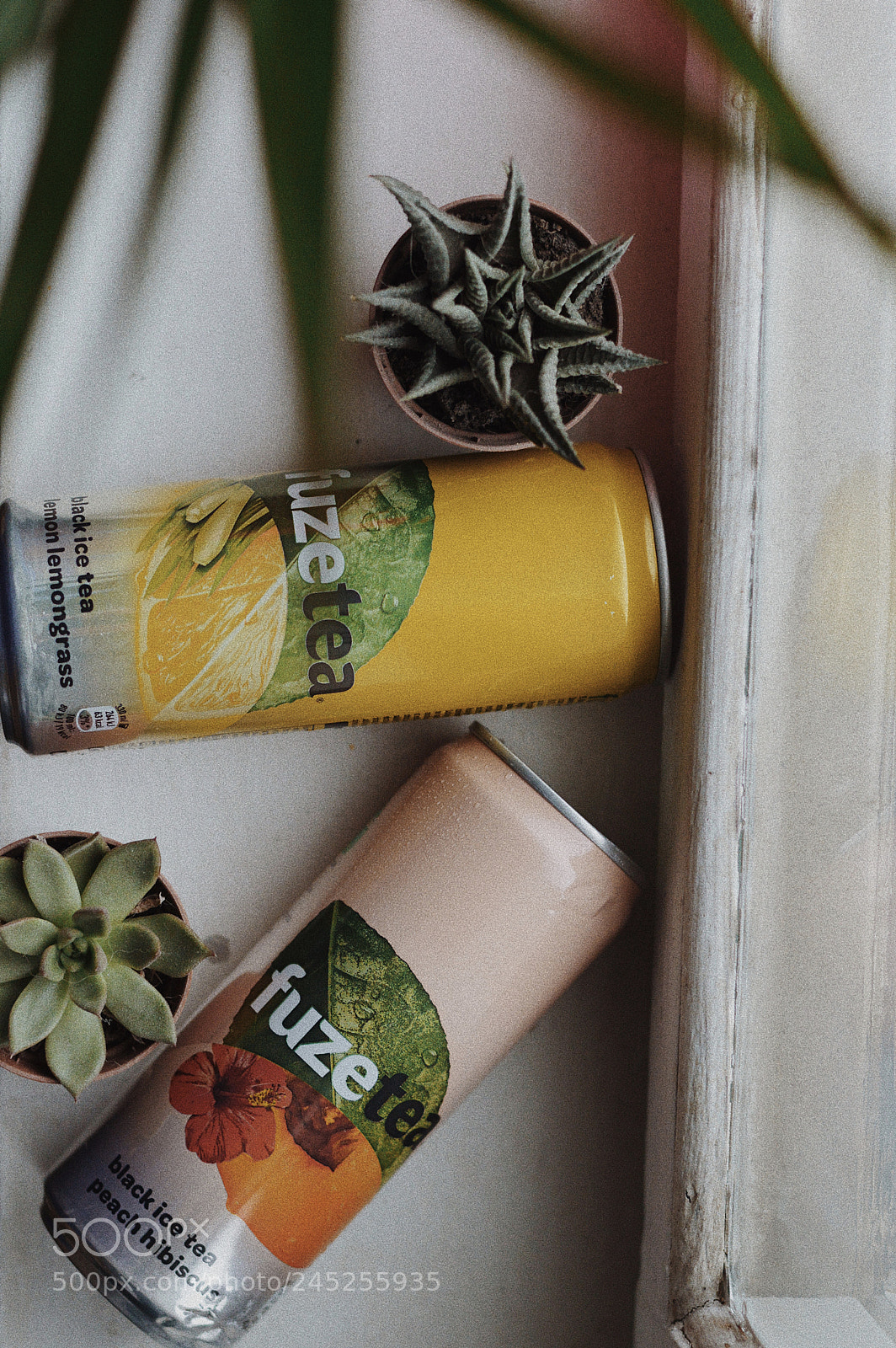 Nikon D3200 sample photo. Untitled photography
