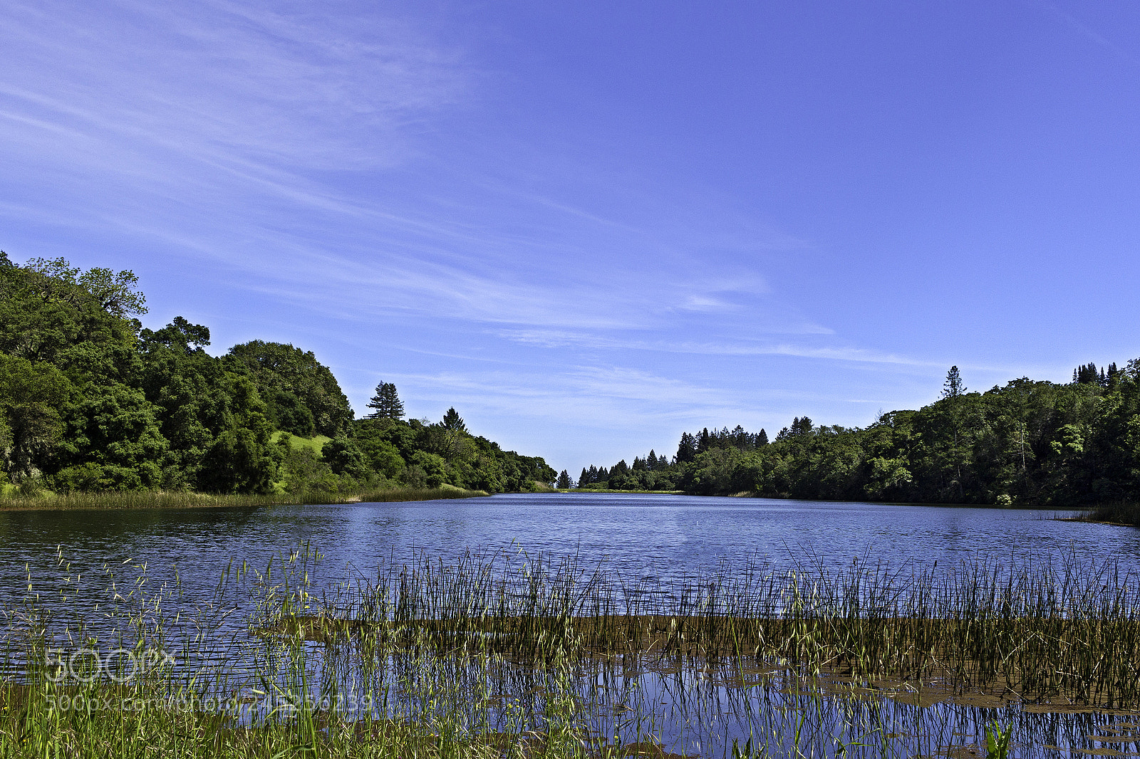 Canon EOS 700D (EOS Rebel T5i / EOS Kiss X7i) sample photo. Fern lake photography