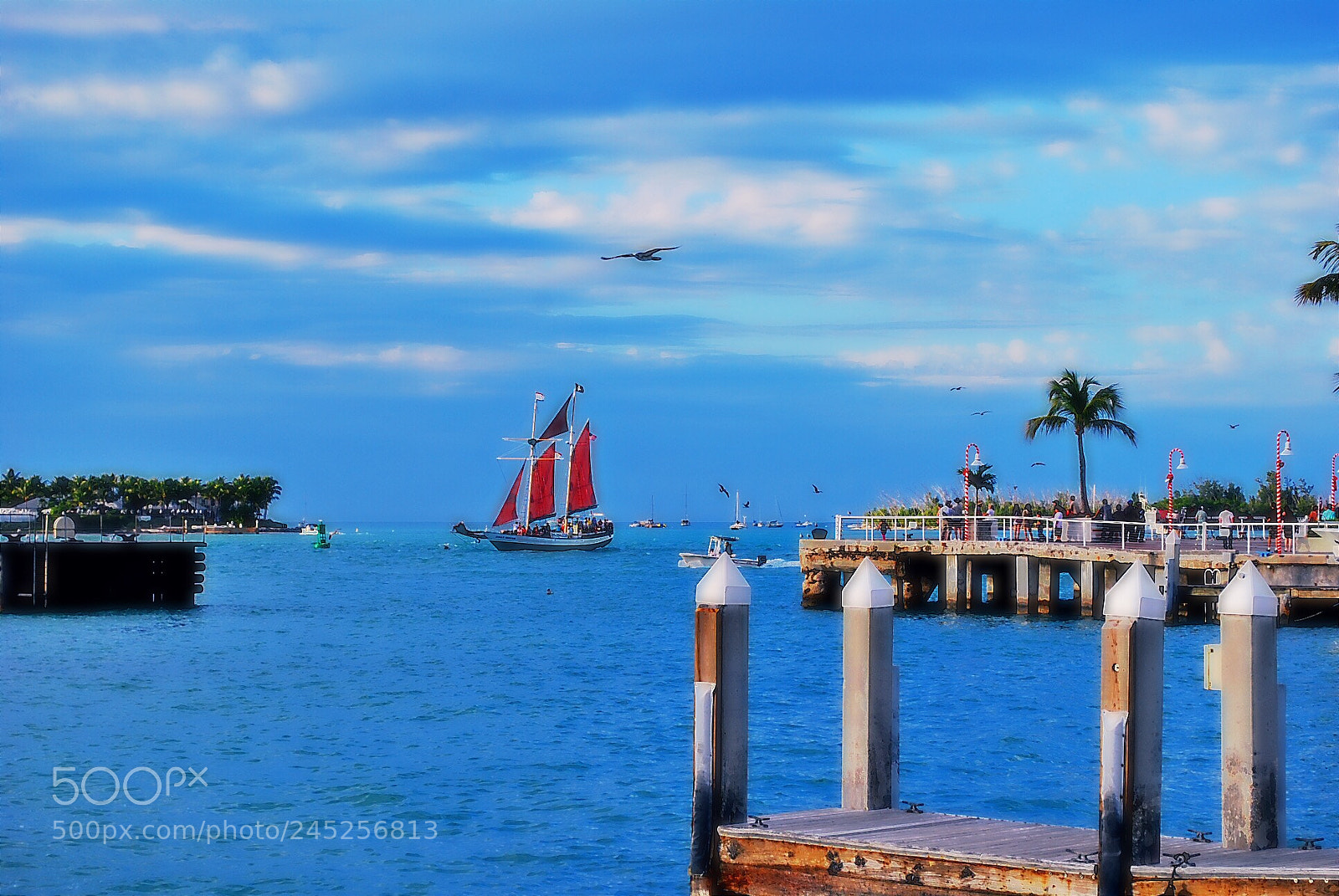 Nikon D60 sample photo. Sailing through the keys photography