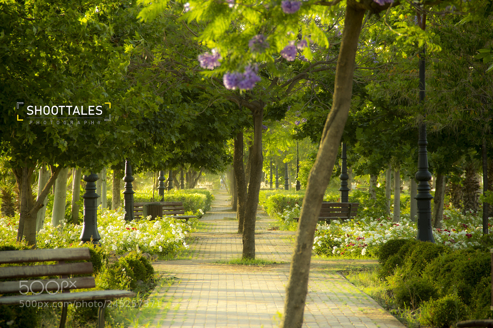 Canon EOS 60D sample photo. Jardin m6 marrakech photography