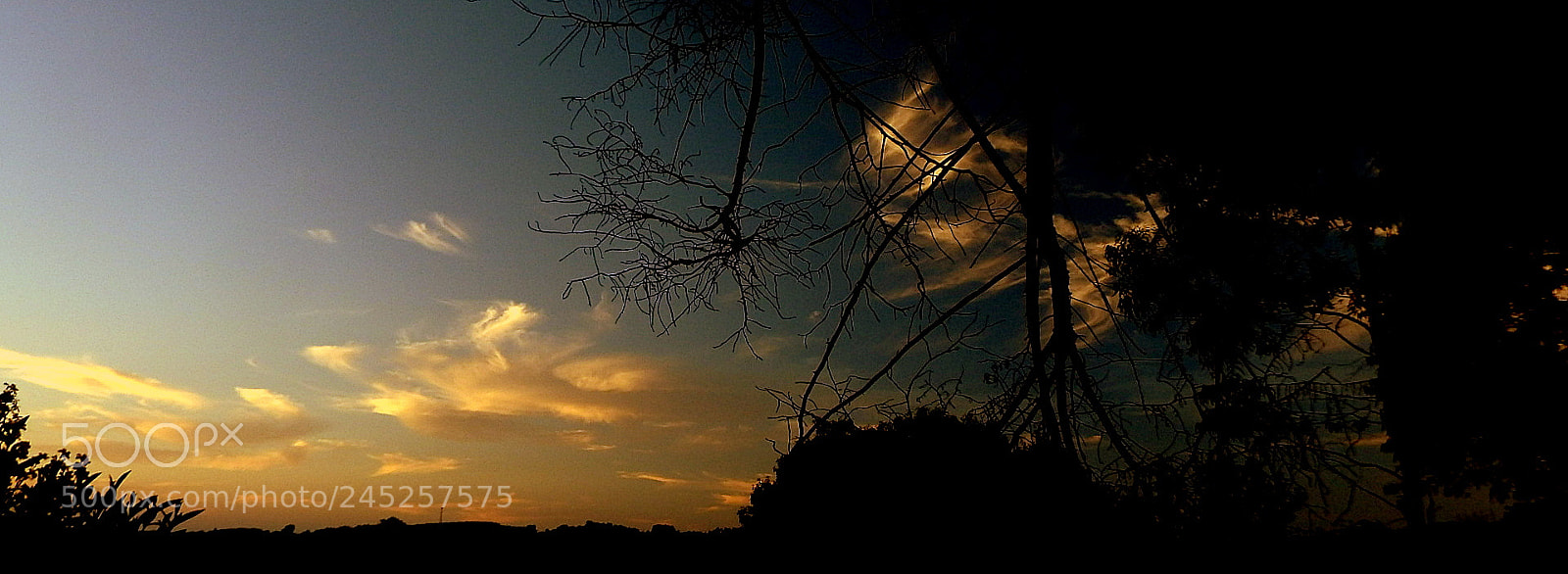 Fujifilm FinePix SL1000 sample photo. Summer landscape .... photography