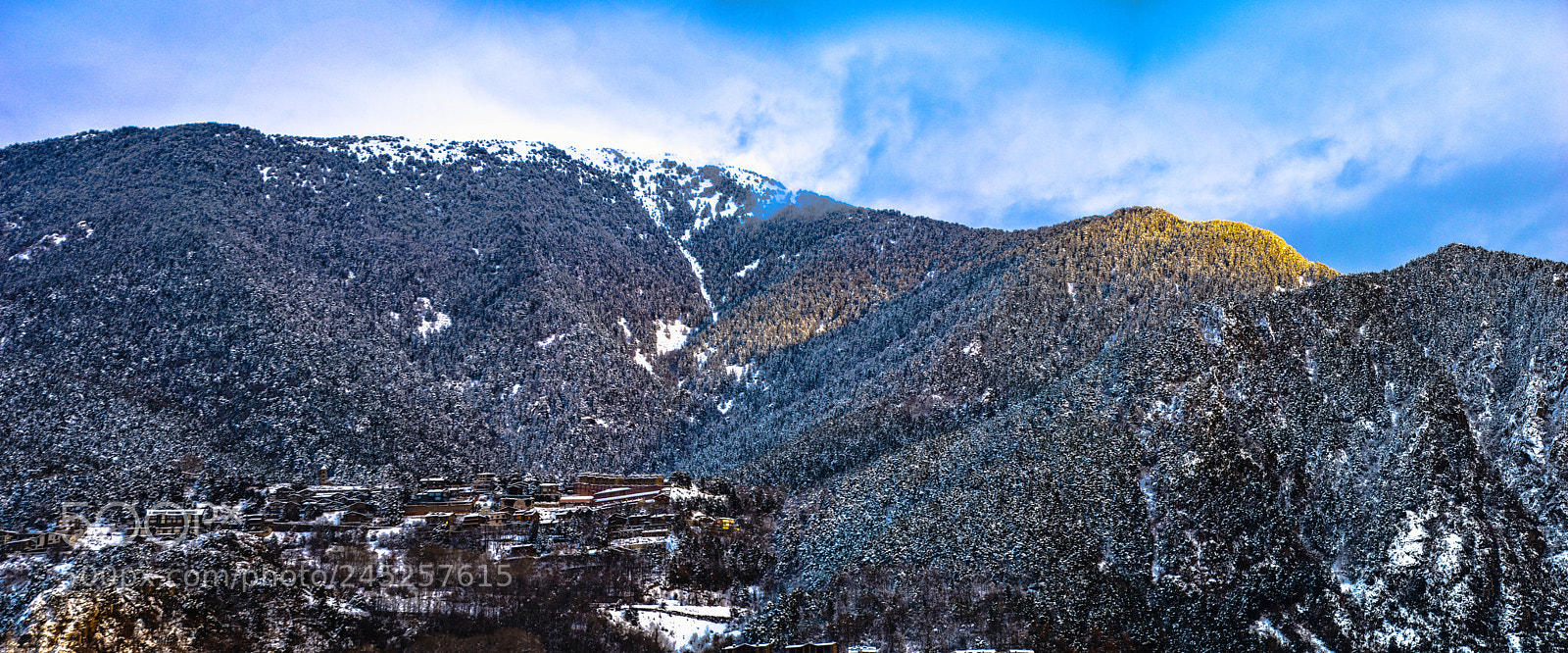 Nikon D5600 sample photo. Engolasters (de ) photography