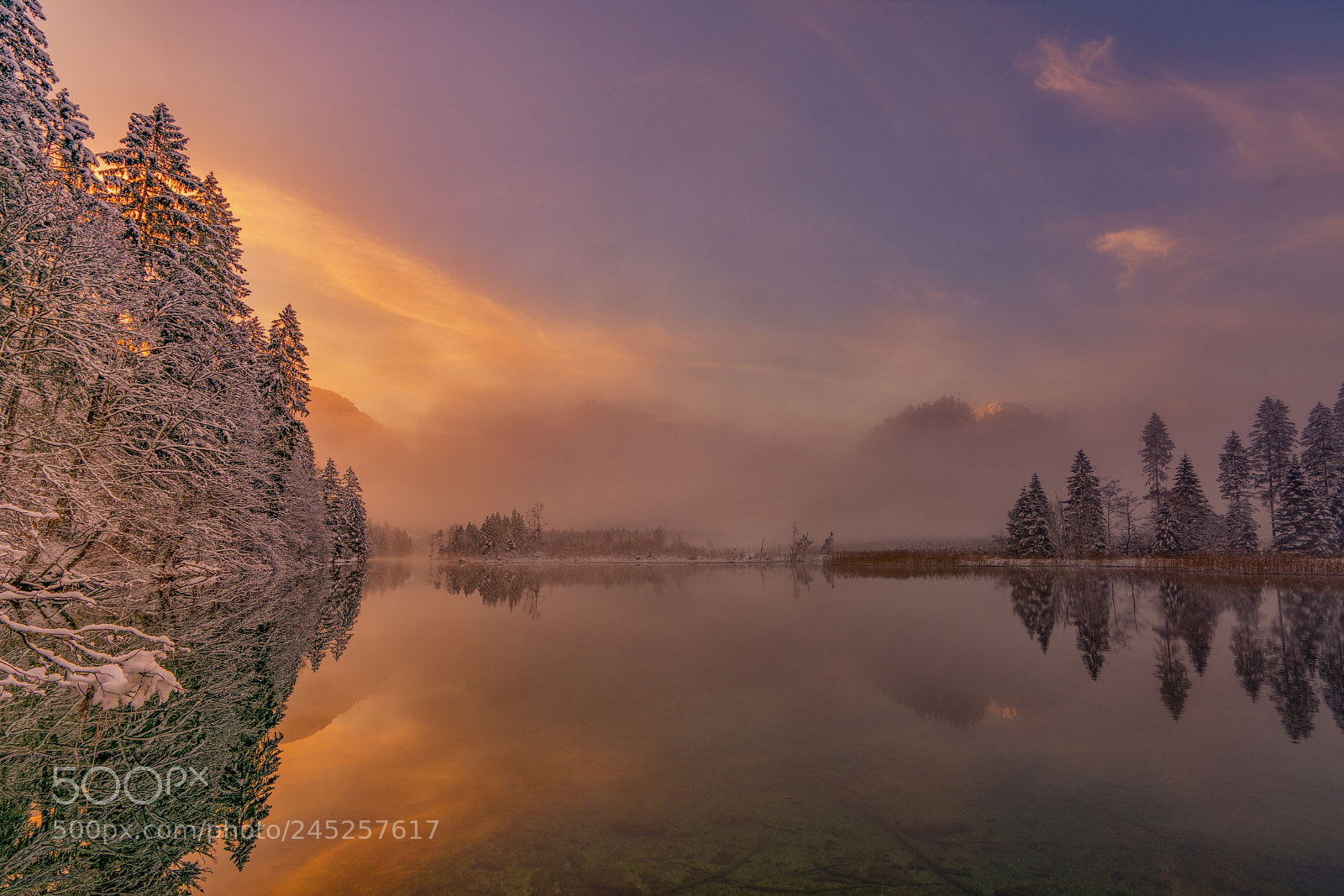 Sony a7R II sample photo. Almsee photography
