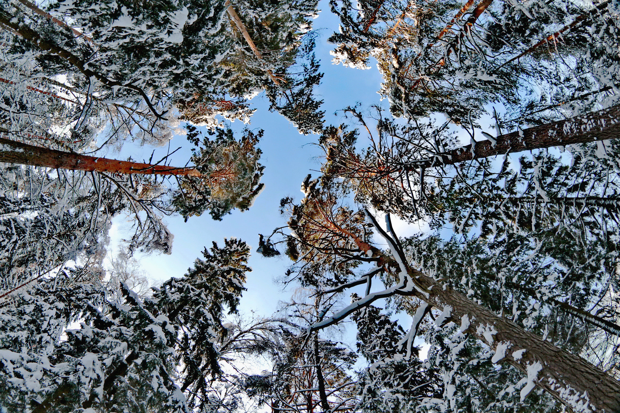Canon EOS sample photo. Up... photography