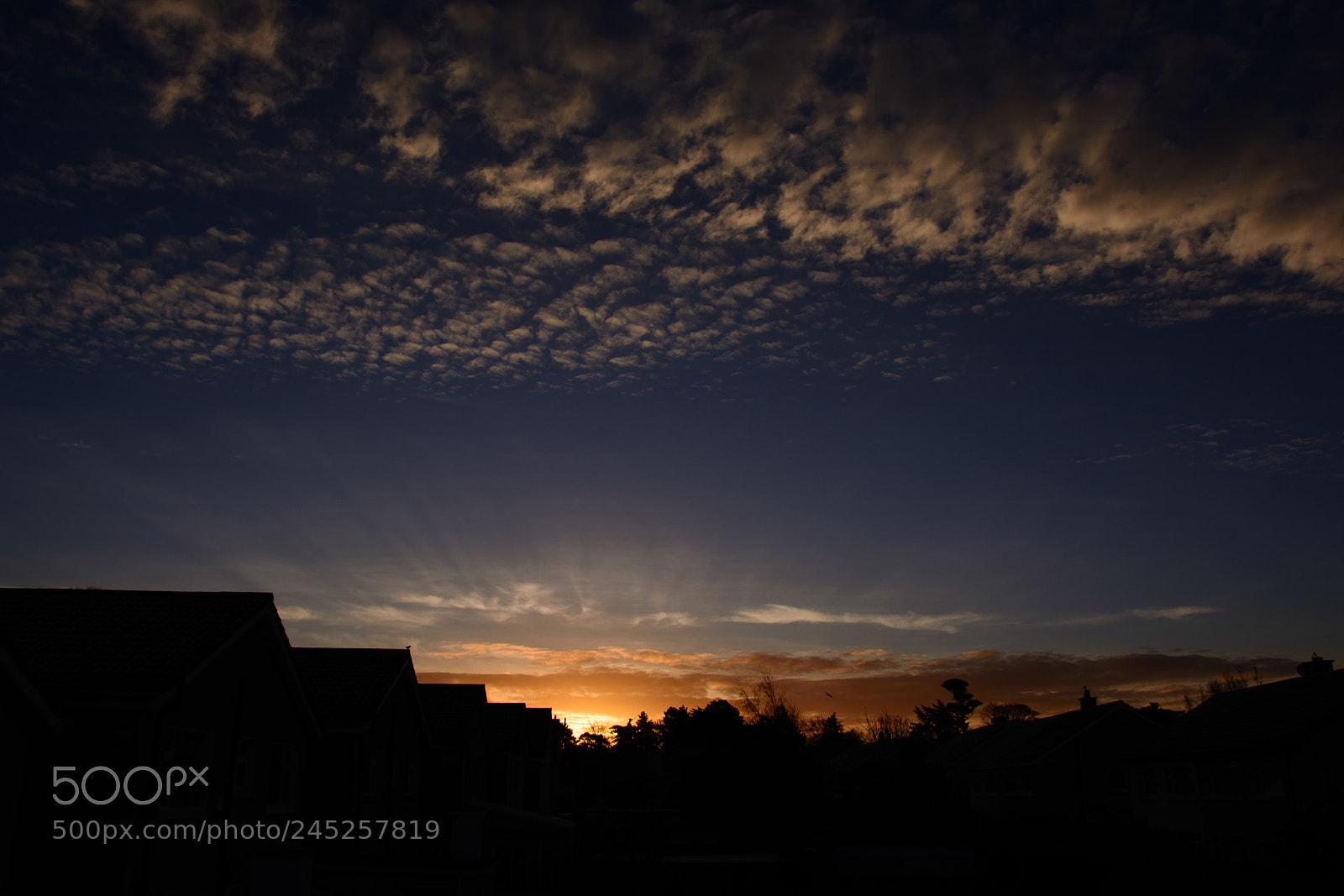 Nikon D5200 sample photo. February sunrise photography