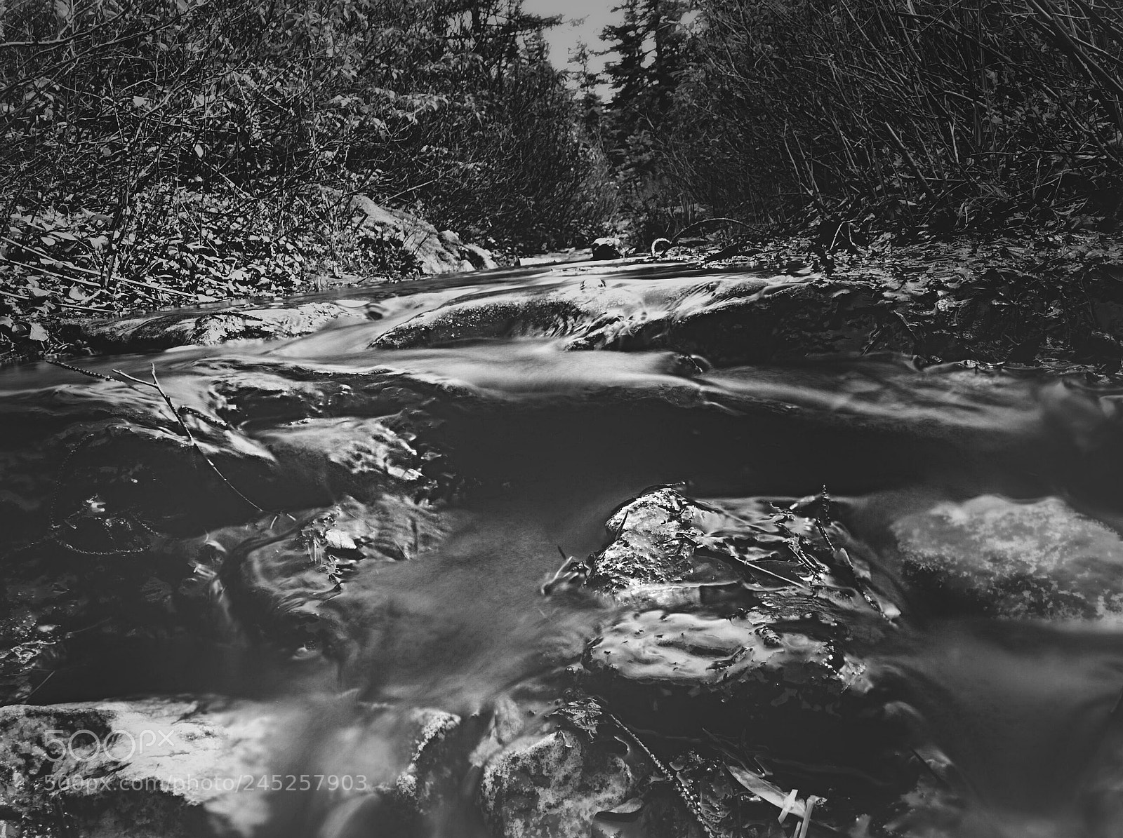 Apple iPad sample photo. Dolly sods stream photography