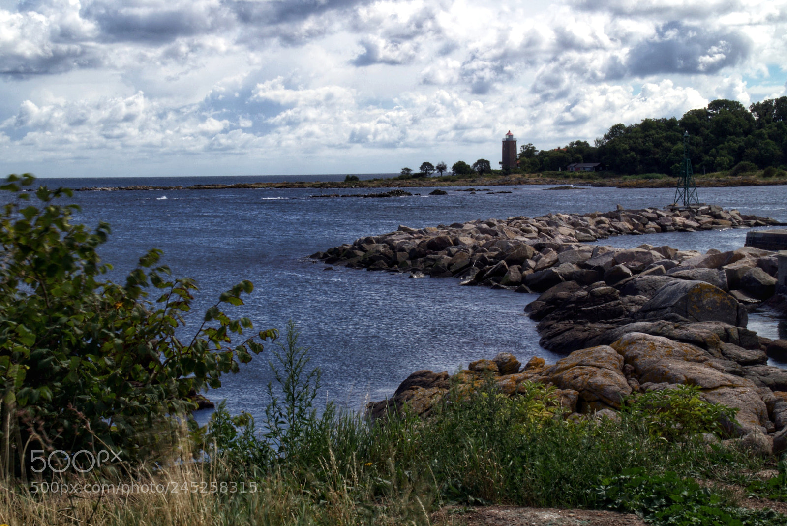 Sony SLT-A58 sample photo. Natural harbor photography