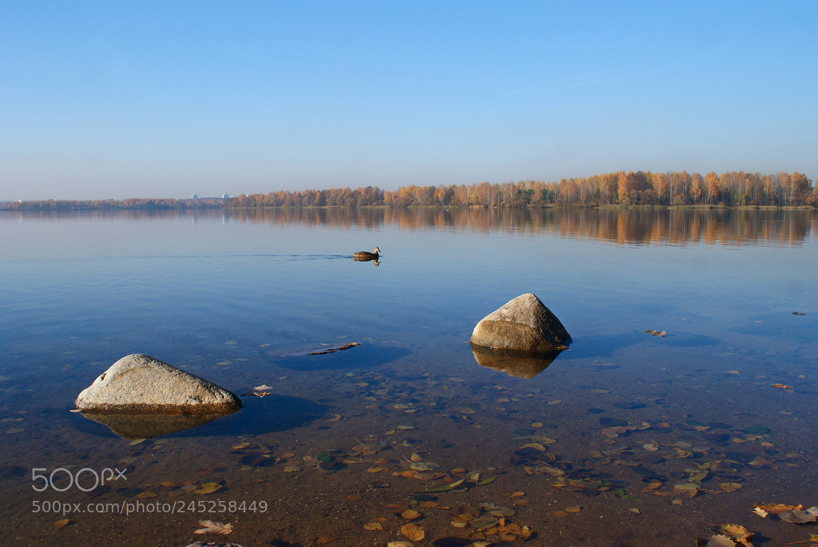 Sony Alpha DSLR-A300 sample photo. Keep calm photography