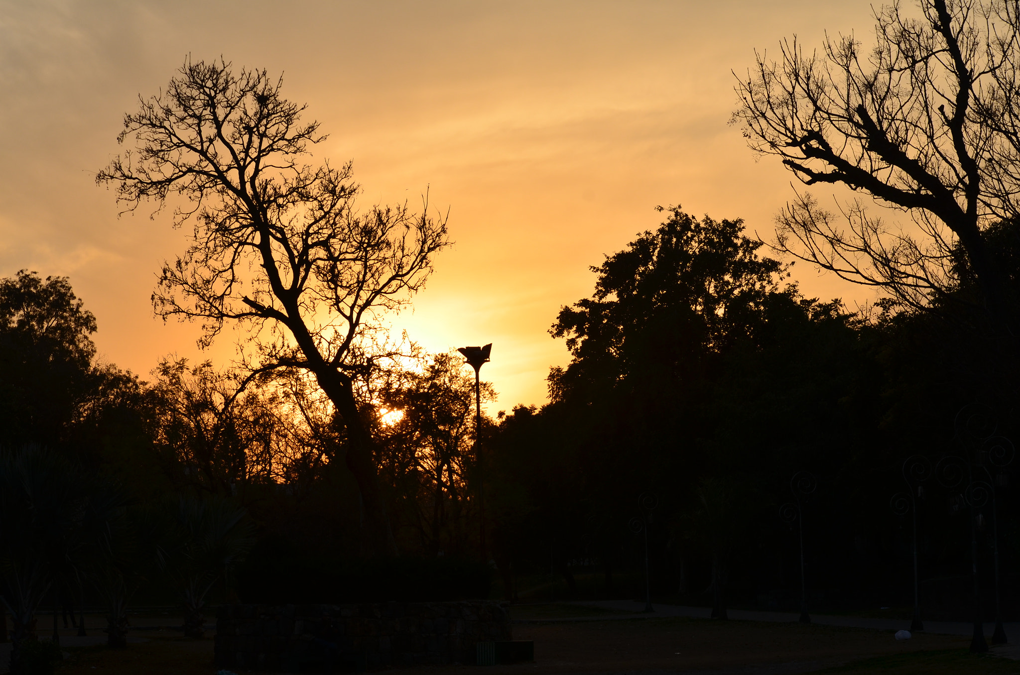 Nikon D5100 sample photo. The sunset photography