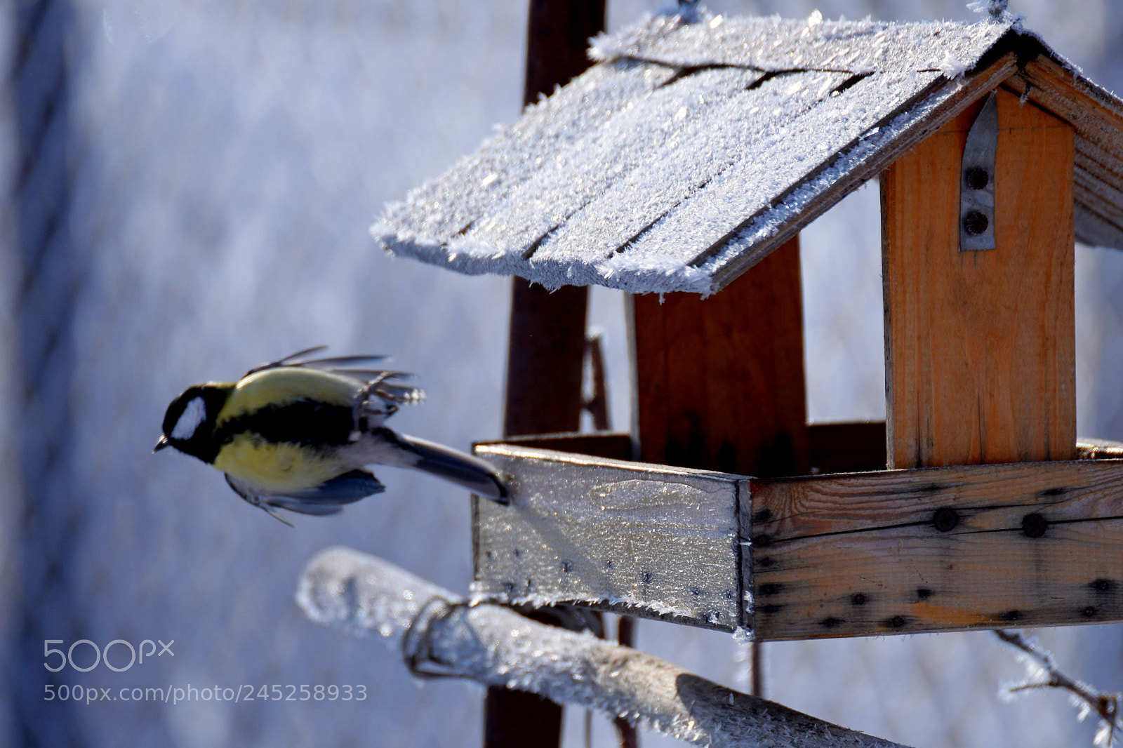 Nikon D610 sample photo. мастер пилотажа photography