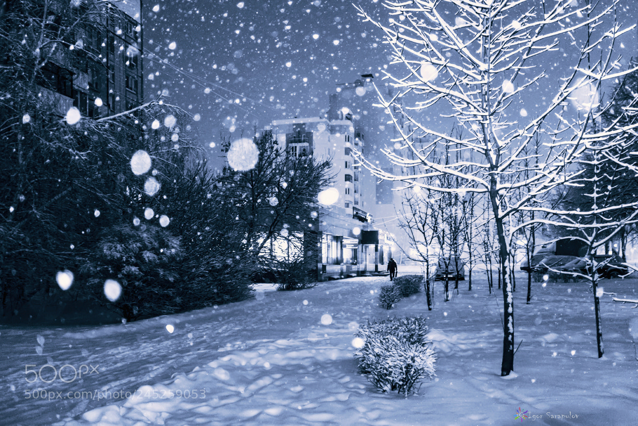 Sony Cyber-shot DSC-RX100 sample photo. Night snowfall photography