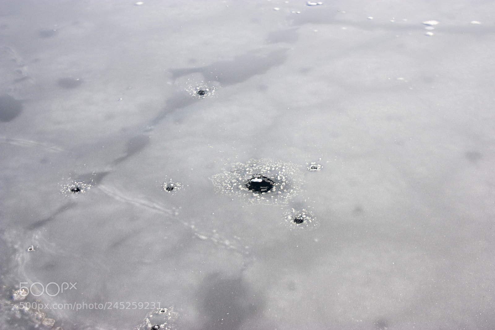 Canon EOS 450D (EOS Rebel XSi / EOS Kiss X2) sample photo. Winter fishing, a frozen photography