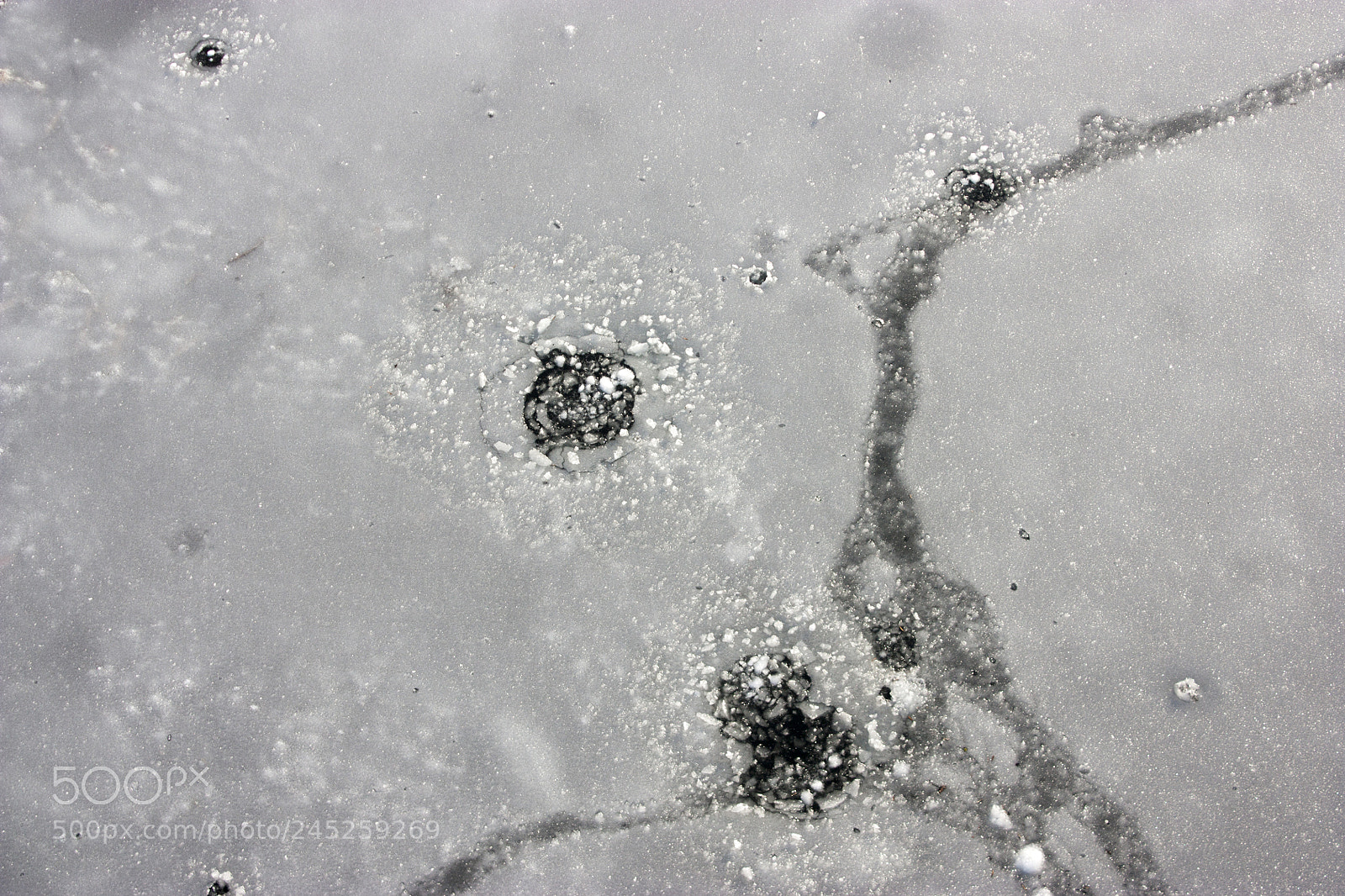 Canon EOS 450D (EOS Rebel XSi / EOS Kiss X2) sample photo. Winter fishing, a frozen photography