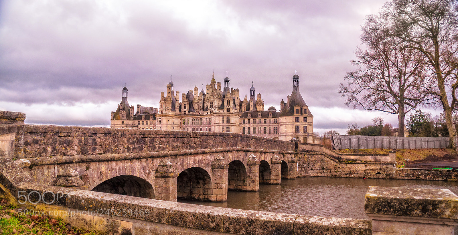 Nikon D90 sample photo. Bridge at chambord photography