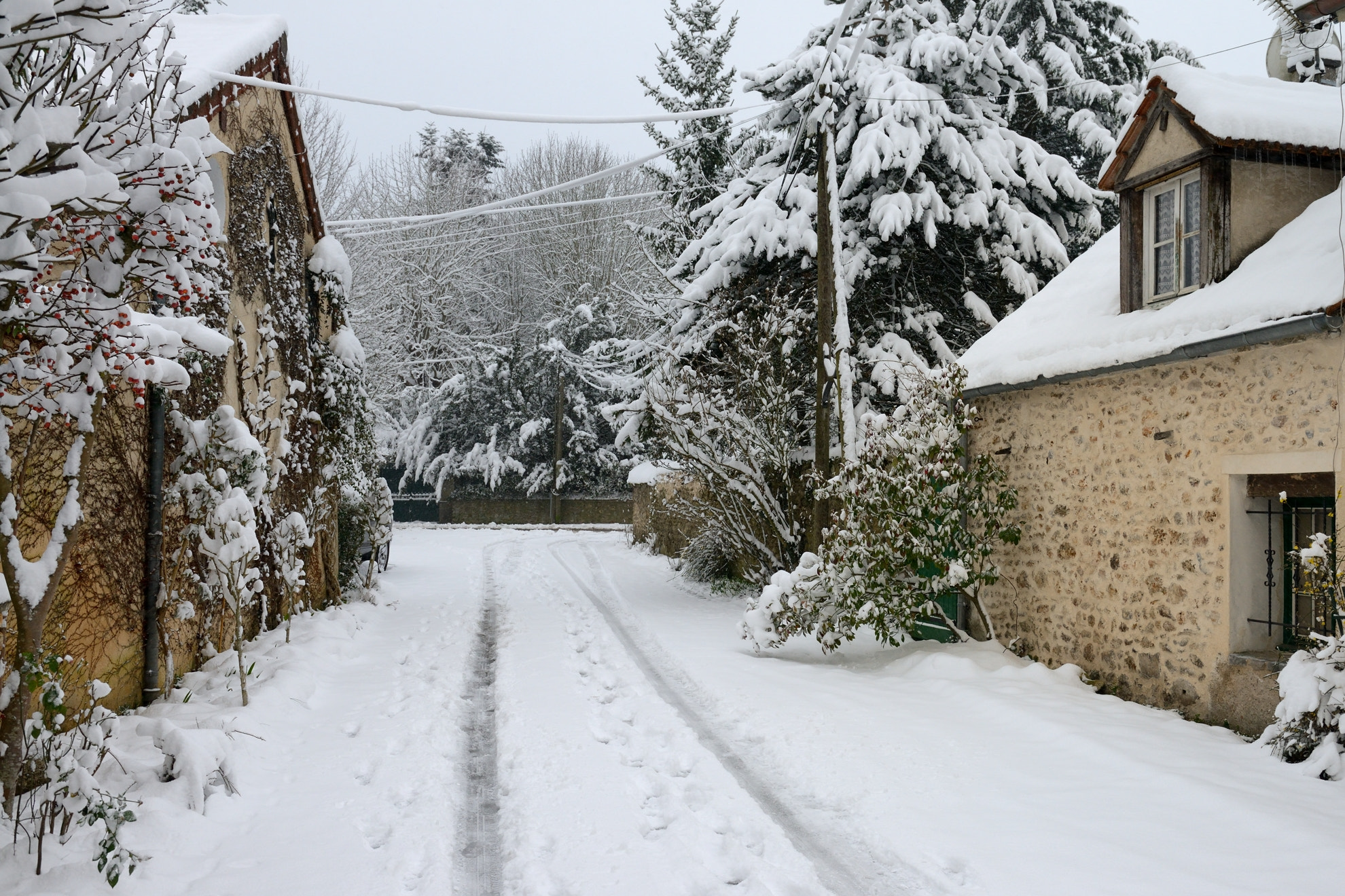 Nikon AF-S Nikkor 24-70mm F2.8G ED sample photo. Jouars pontchartrain sous la neige #01 photography
