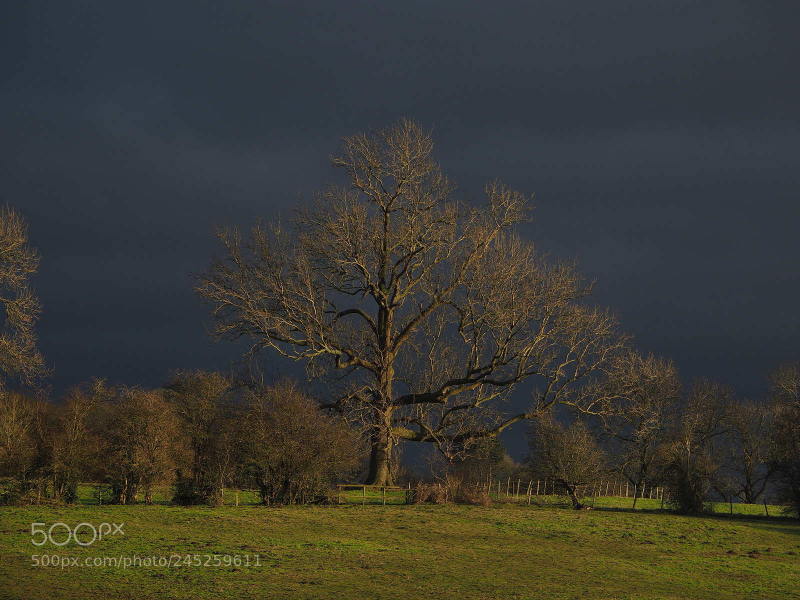 Olympus OM-D E-M1 Mark II sample photo. Stormy sky photography
