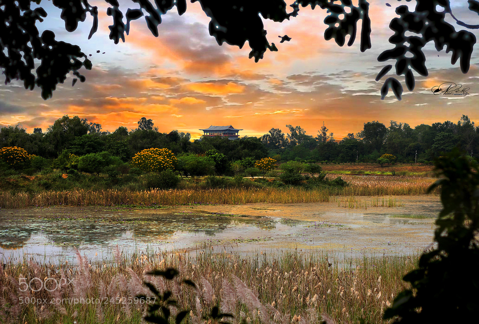 Canon EOS 550D (EOS Rebel T2i / EOS Kiss X4) sample photo. Lumbini photography