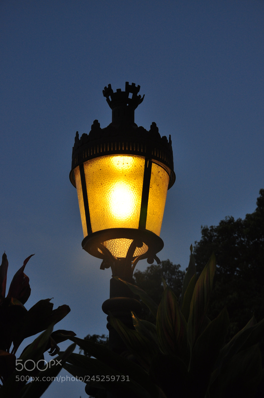 Nikon D90 sample photo. Street light photography