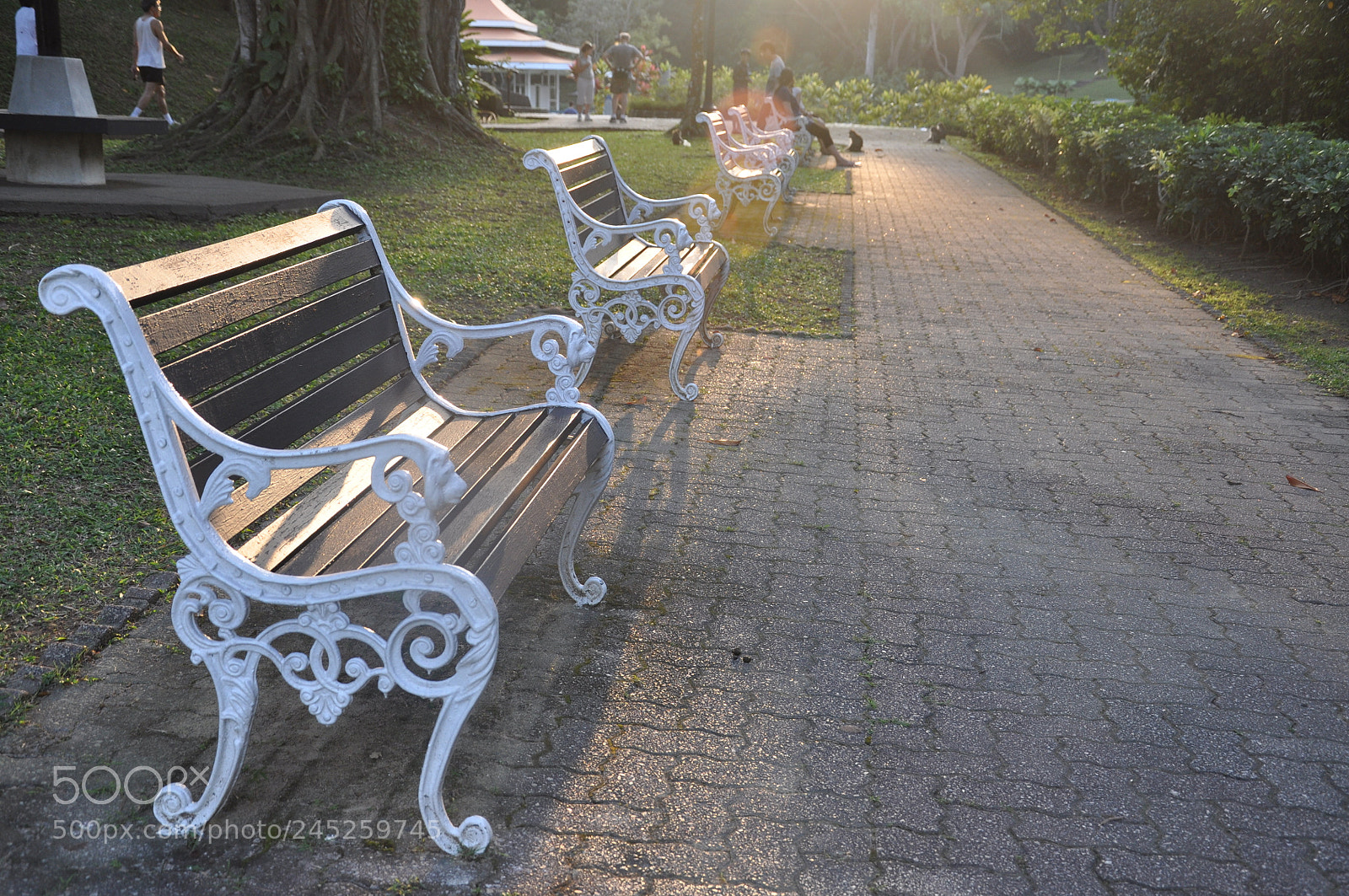 Nikon D90 sample photo. Mcritchie reservoir, singapore photography