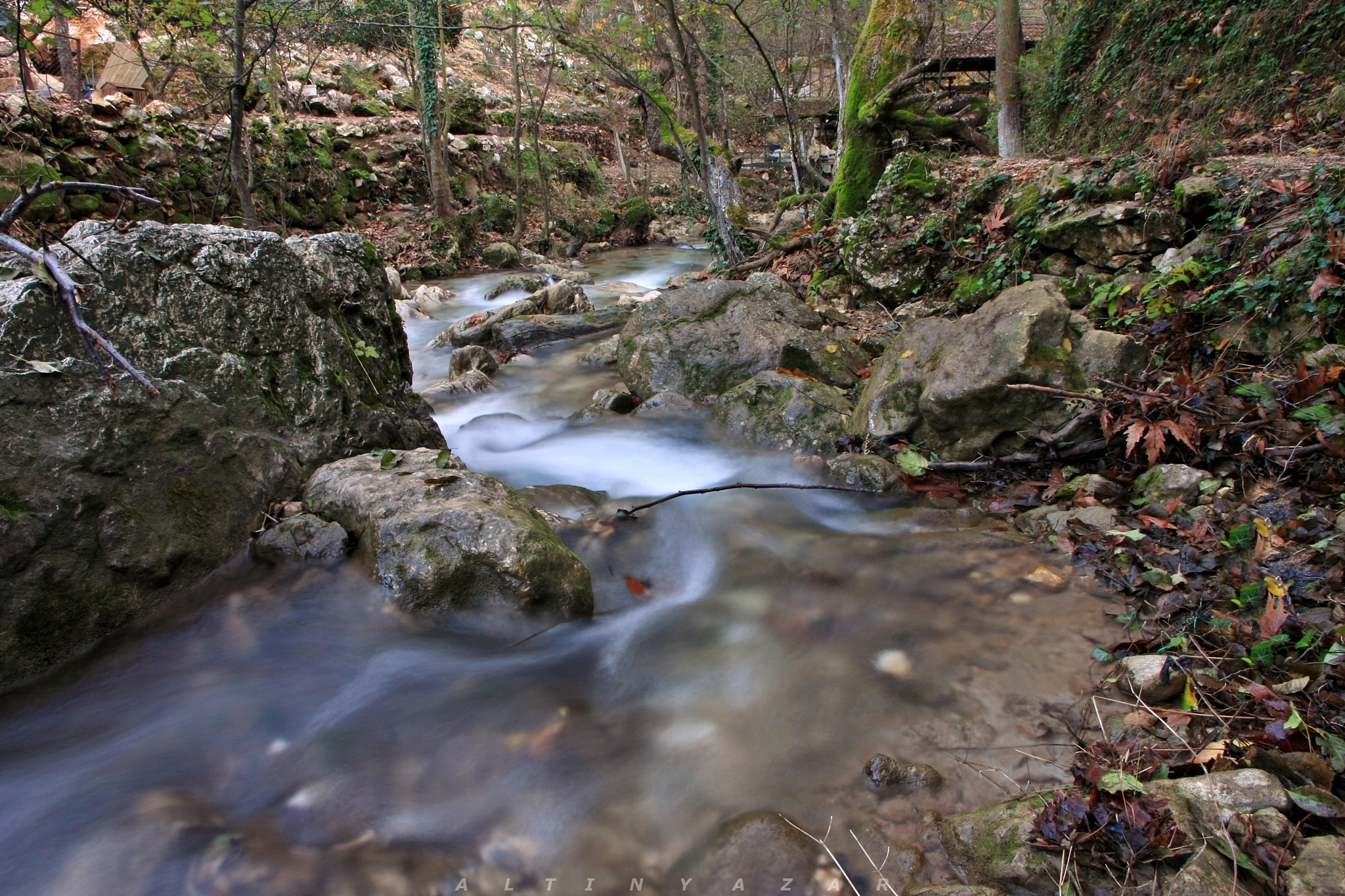 Canon EOS 40D sample photo