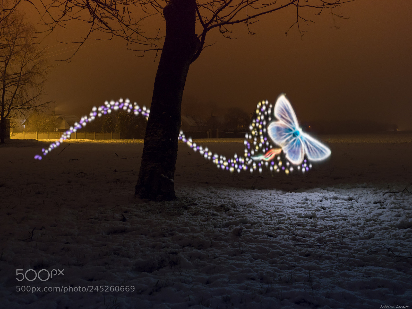 Olympus OM-D E-M1 Mark II sample photo. Papillon de lumière photography