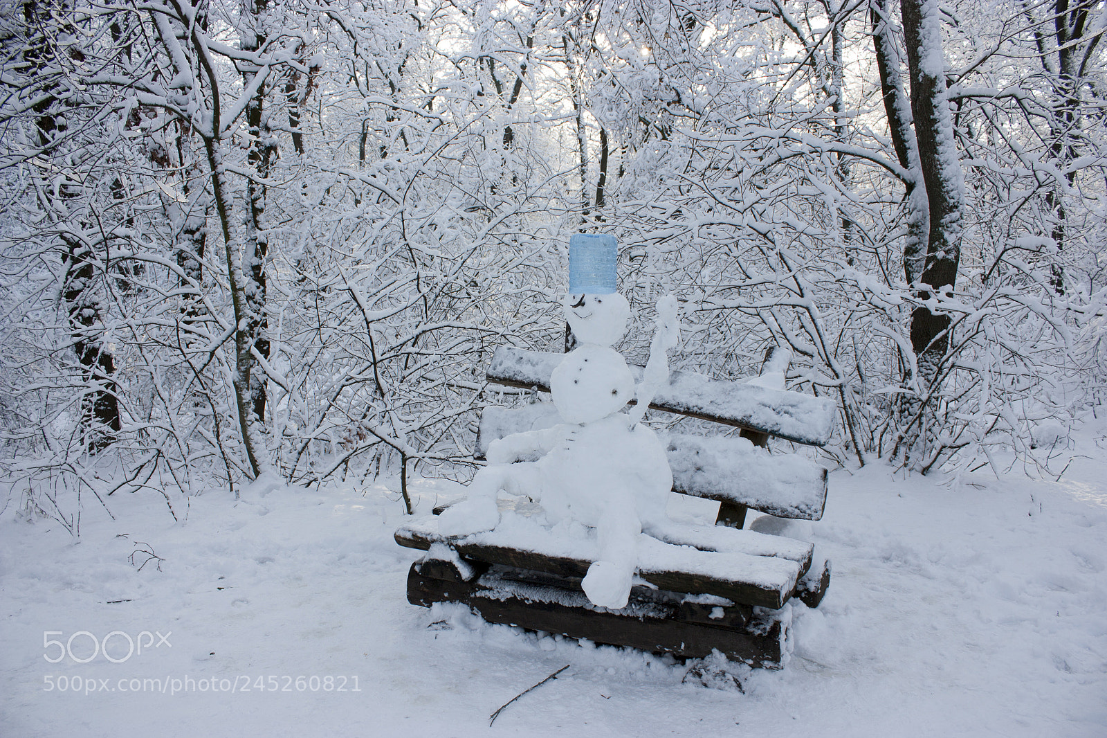 Canon EOS 450D (EOS Rebel XSi / EOS Kiss X2) sample photo. Snowman sits on a photography