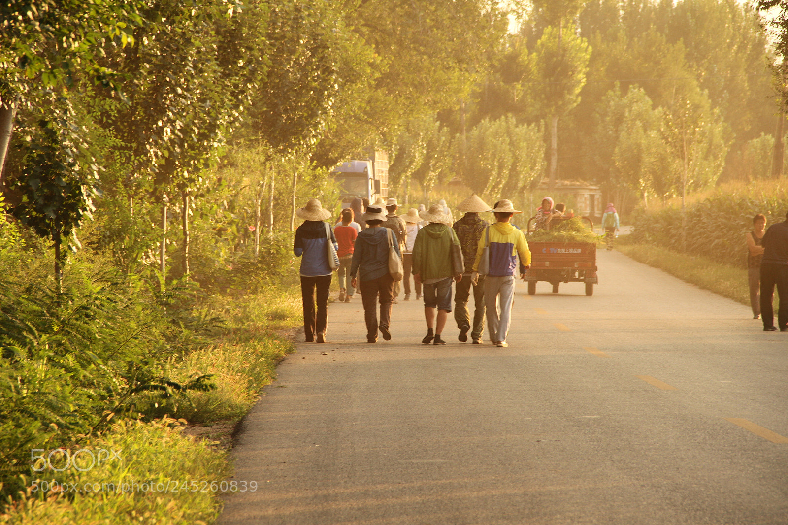 Canon EF-S 18-135mm F3.5-5.6 IS sample photo. The way after working.jpg photography
