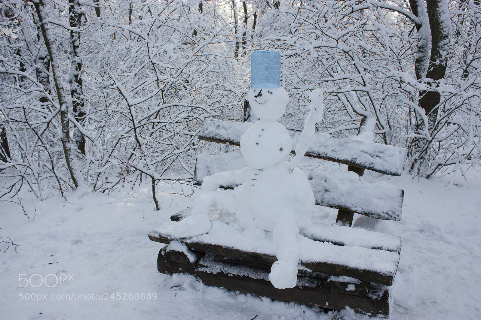 Canon EOS 450D (EOS Rebel XSi / EOS Kiss X2) sample photo. Snowman sits on a photography