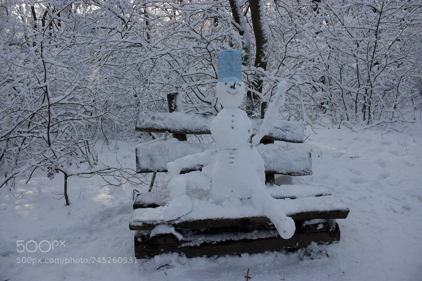 Canon EOS 450D (EOS Rebel XSi / EOS Kiss X2) sample photo. Snowman sits on a photography