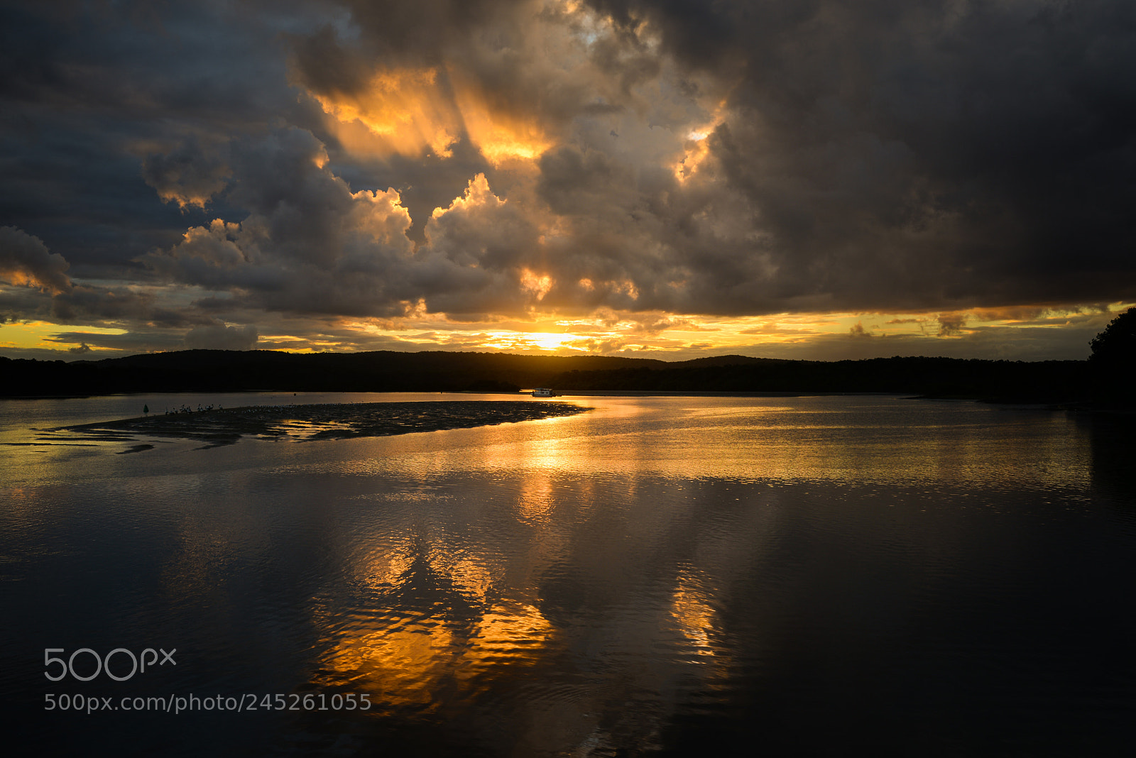 Nikon D610 sample photo. Golden sunset photography