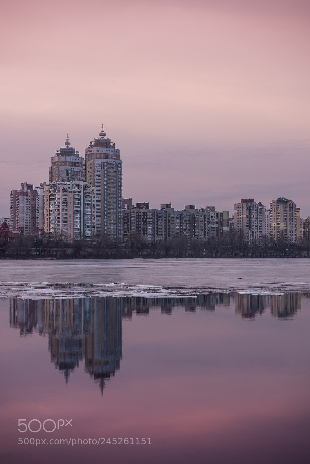 Nikon D810 sample photo. Magenta mood photography