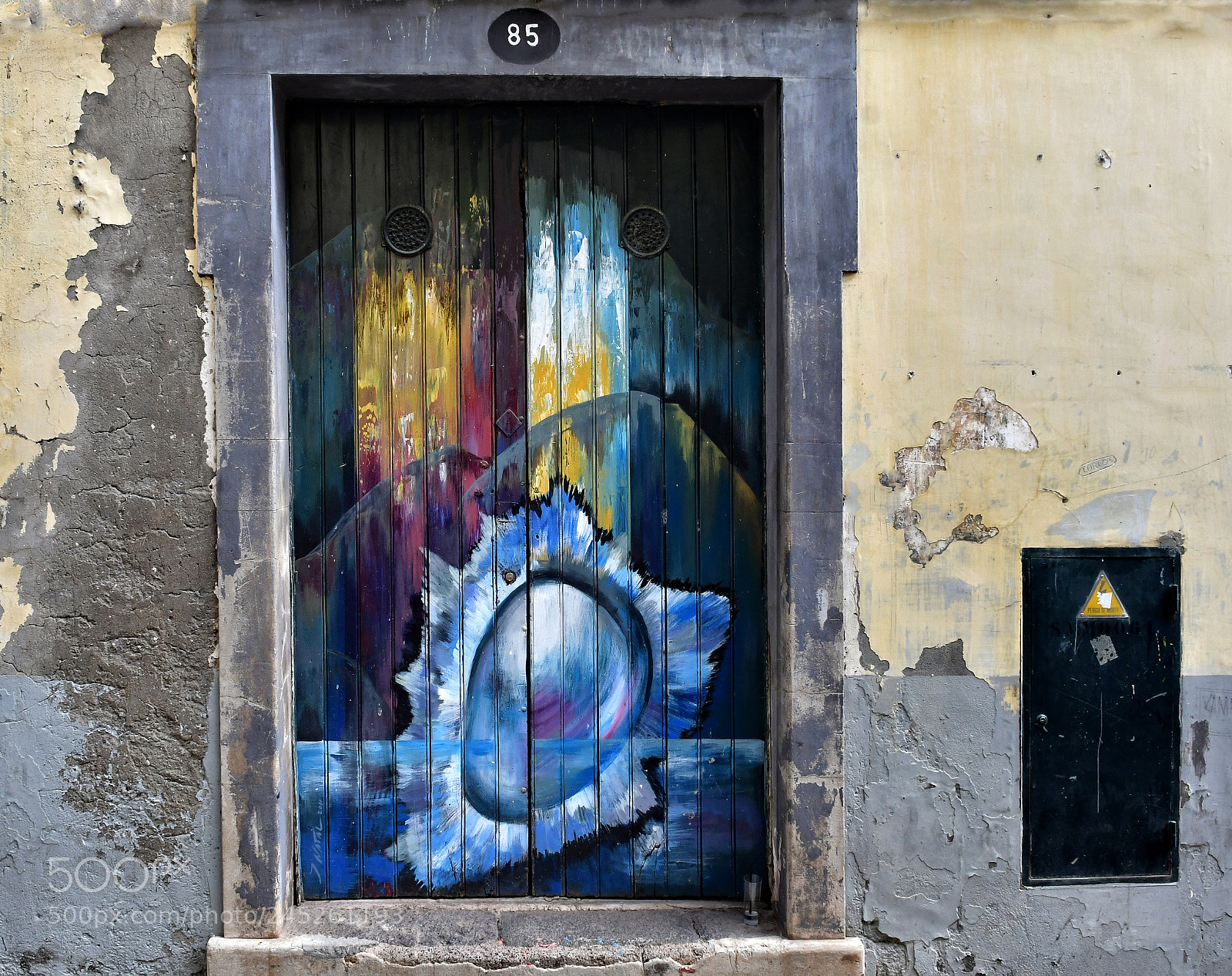 Nikon D500 sample photo. The door photography