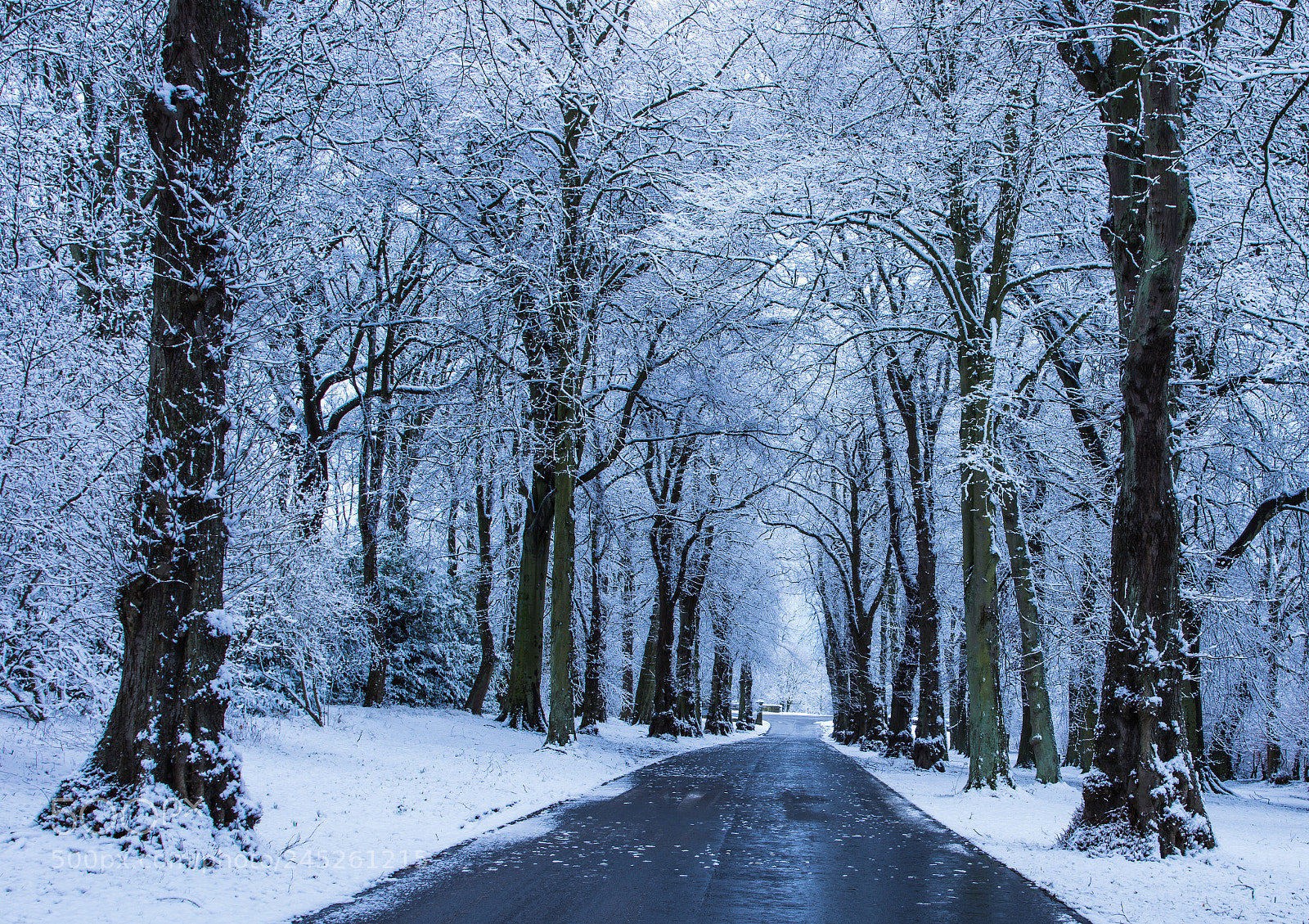Pentax K-3 sample photo. Camperdown park road snow photography