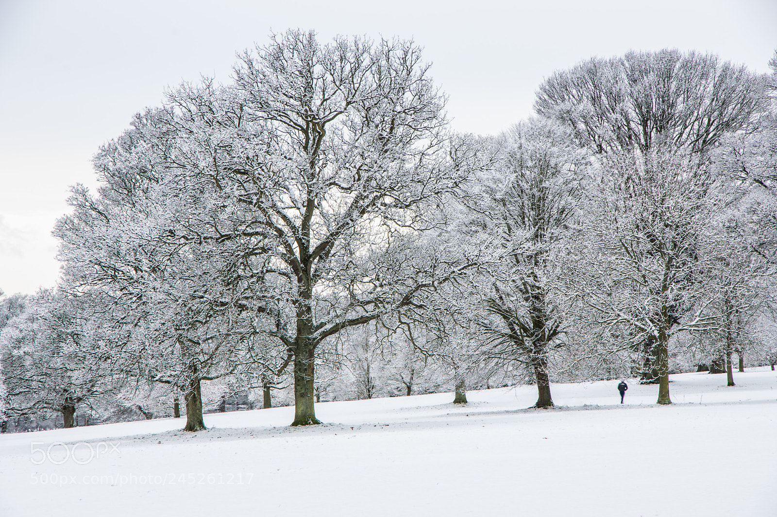 Pentax K-3 sample photo. Camperdown snow photography