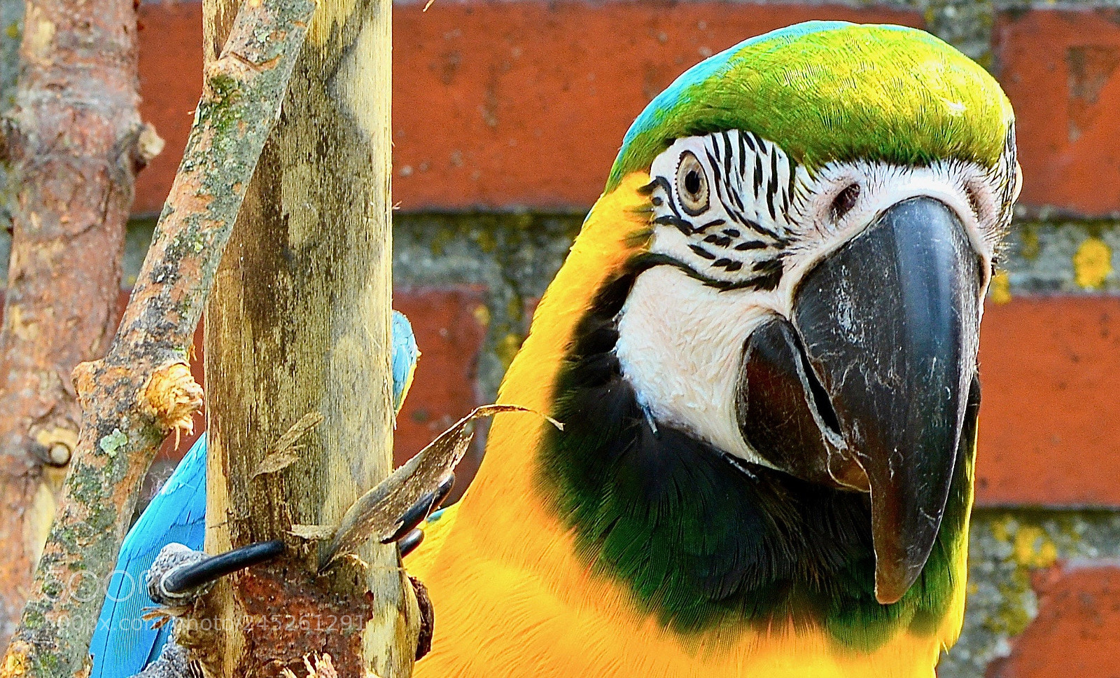 Nikon D800 sample photo. ' look, i'm beautiful!' photography
