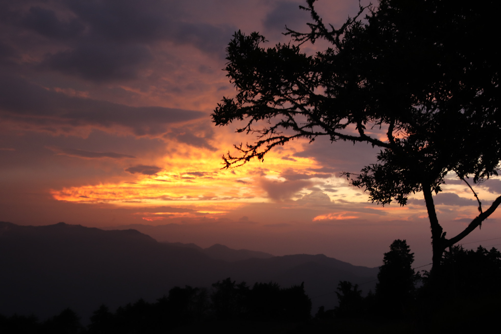 Canon EF 28-300mm F3.5-5.6L IS USM sample photo