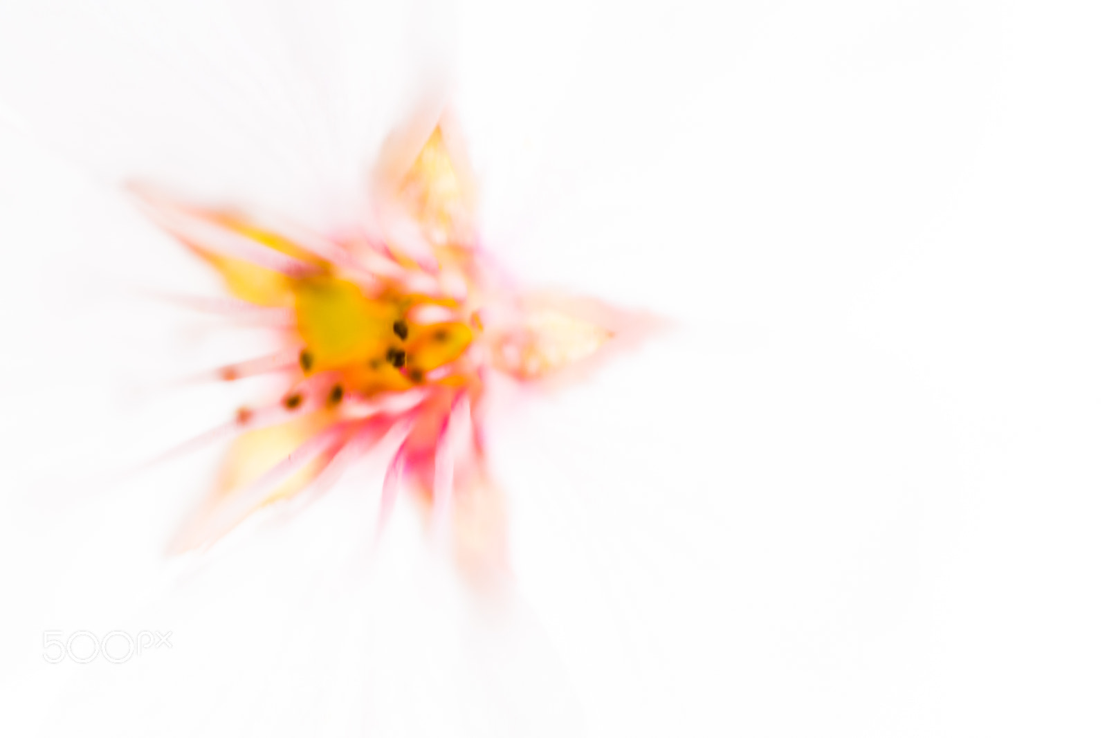Nikon D7200 sample photo. Abstract photography