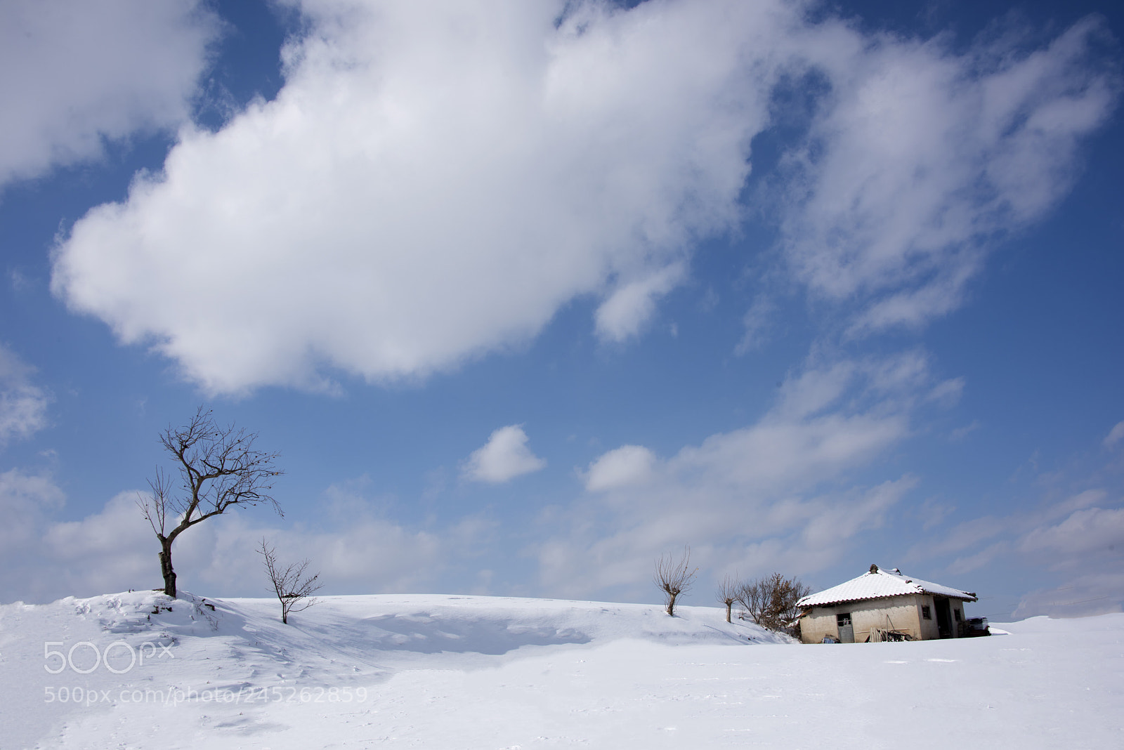 Nikon D810 sample photo. A house alone photography