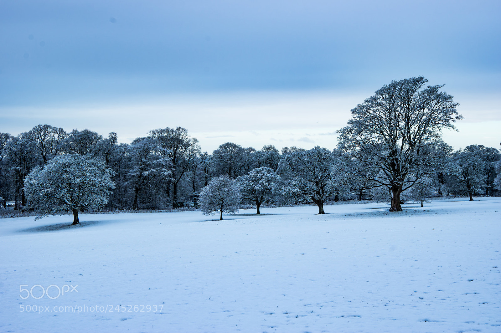Pentax K-3 sample photo. Camperdown park snow photography