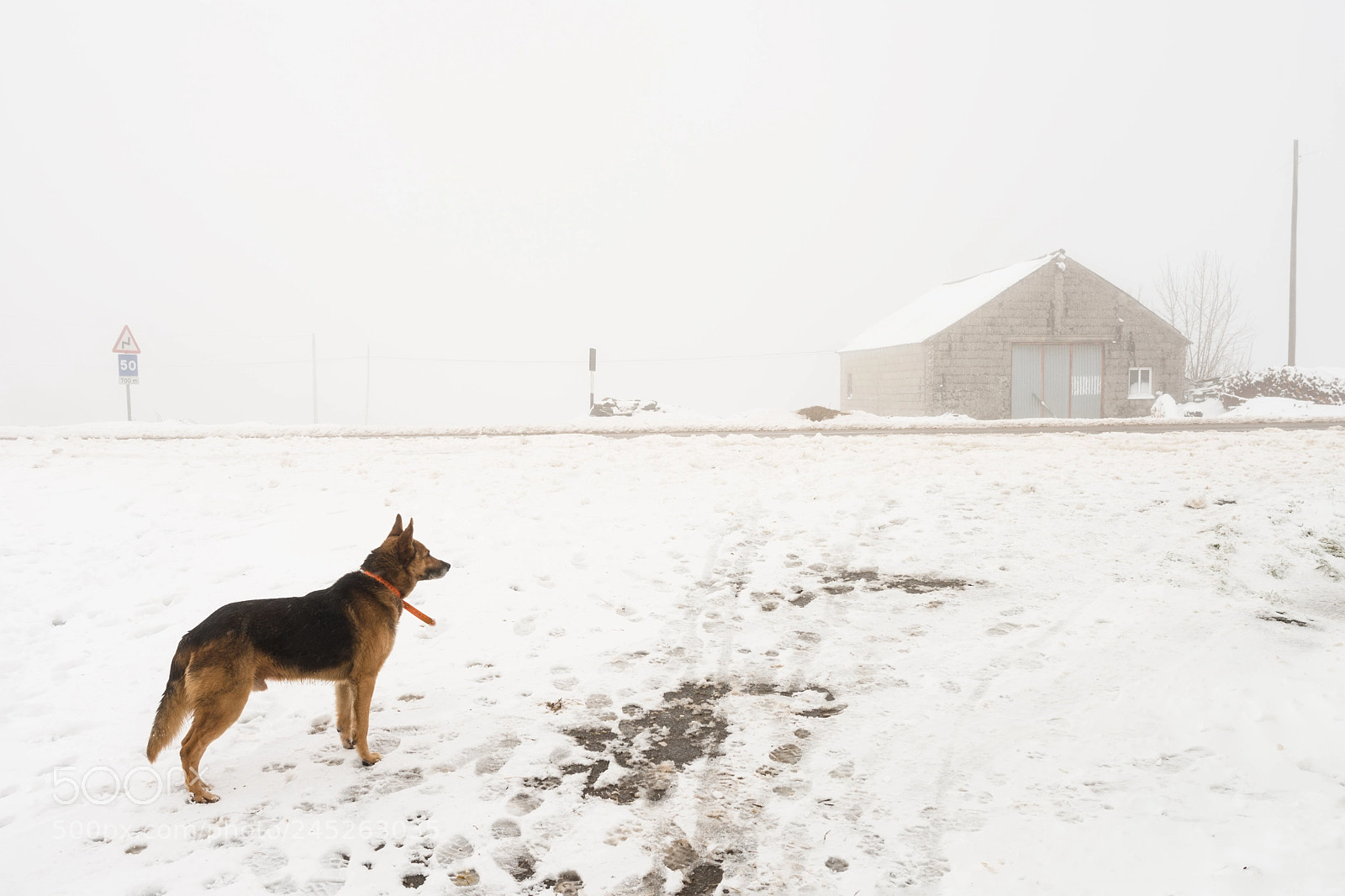 Nikon D800 sample photo. Fargo no, lugo, galicia photography