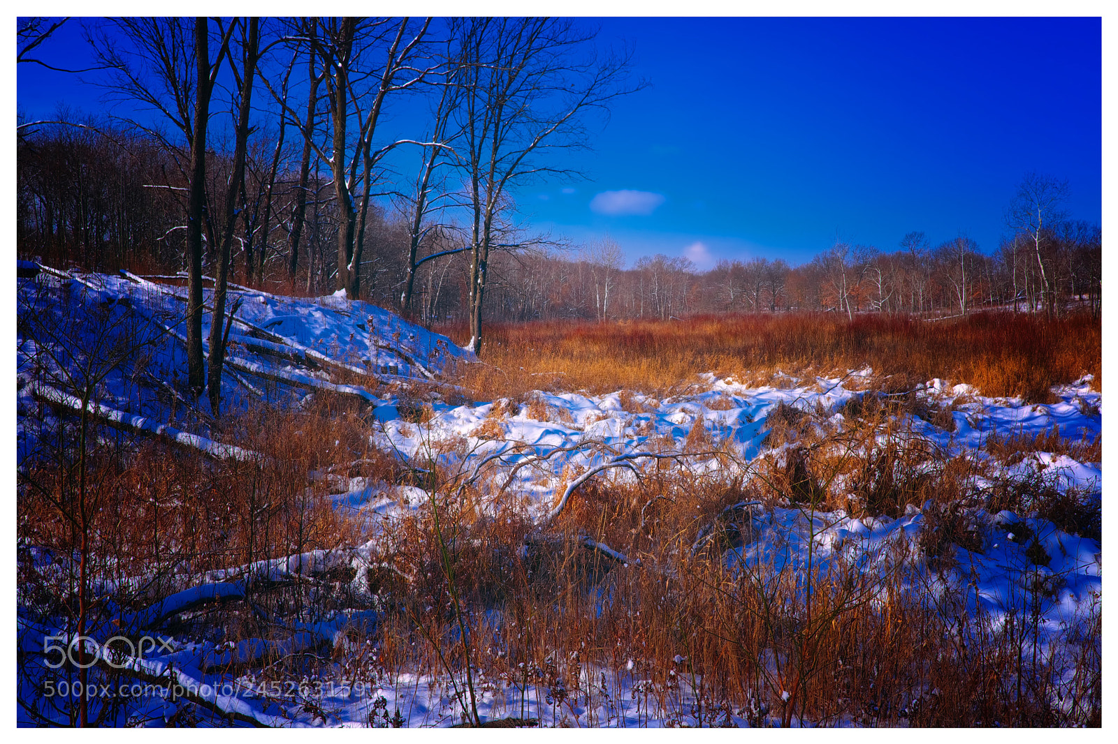 Fujifilm X-Pro2 sample photo. Morning hike photography