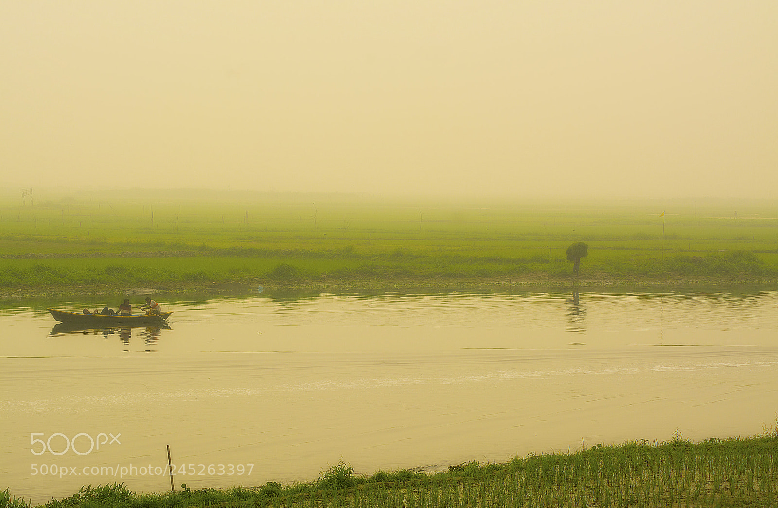 Nikon D7100 sample photo. River and life photography