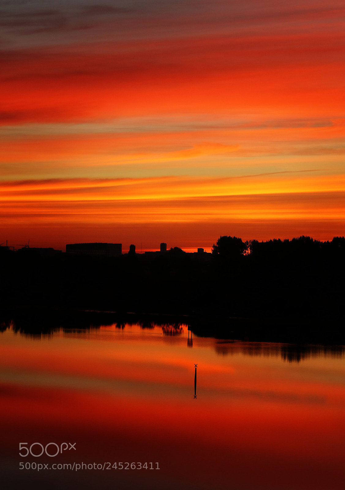 Canon EOS 7D Mark II sample photo. First light photography