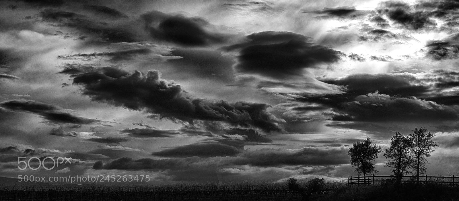 Nikon D800 sample photo. Negro photography