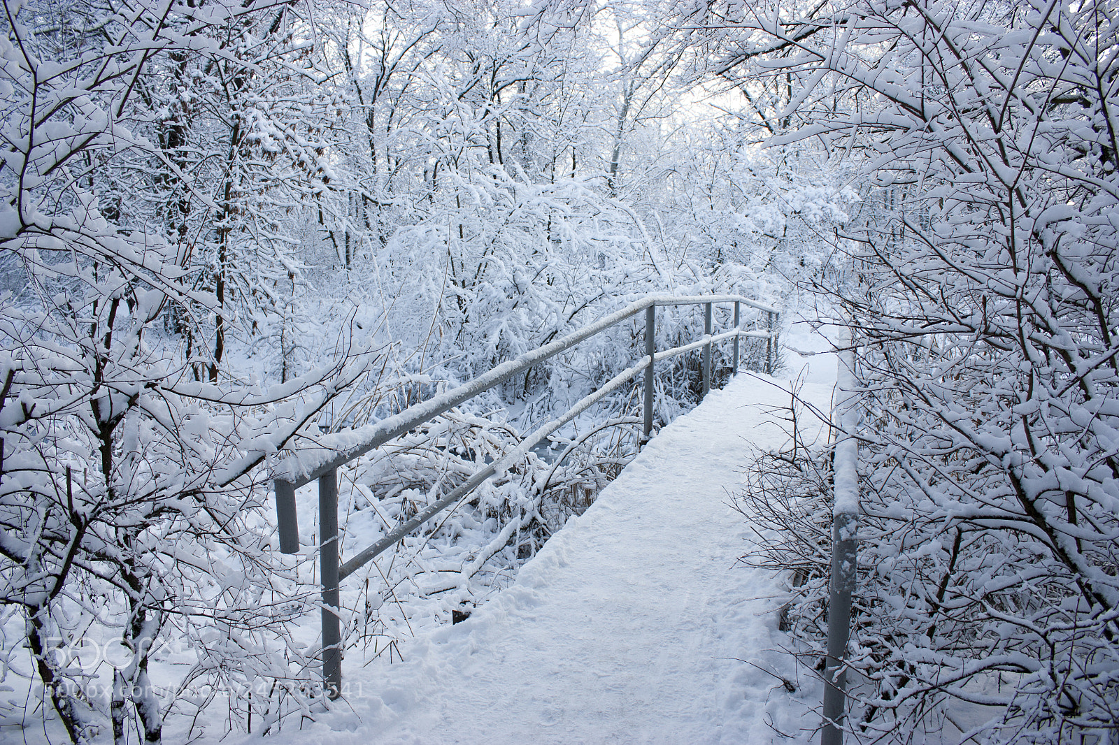 Canon EOS 450D (EOS Rebel XSi / EOS Kiss X2) sample photo. Beautiful bridge in the photography