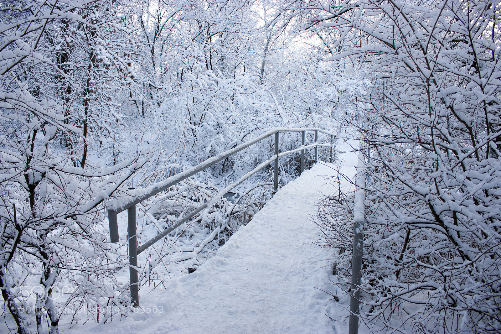 Canon EOS 450D (EOS Rebel XSi / EOS Kiss X2) sample photo. Beautiful bridge in the photography